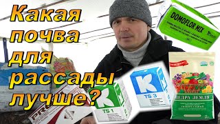 В какой почве рассада вырастет лучше? Делюсь многолетним опытом.