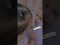 بحبك حب رباني