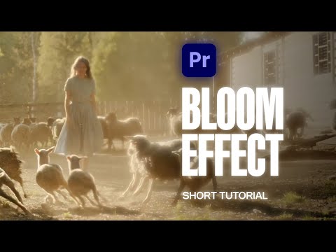 Как добавить эффект Film BLOOM в Premiere Pro