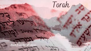 How Much Light Is In Your Walk | Torah