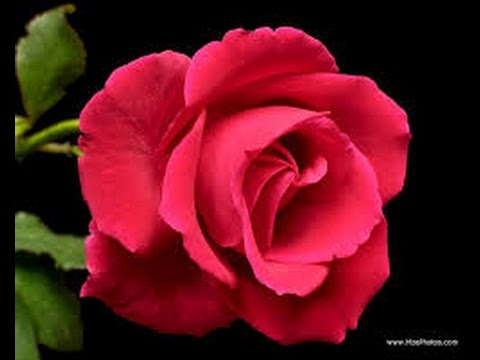 قناه الفرات برنامج صبحكم الله بالخير في مدرسه الكرم للتعليم المسرع 