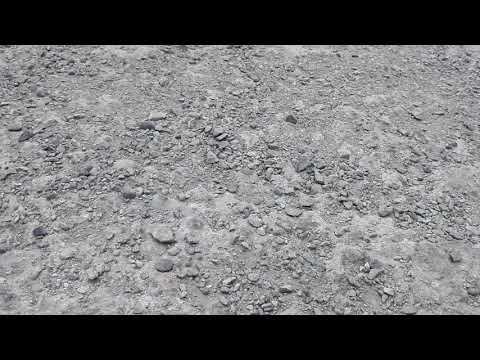 ვერ დაგემშვიდობეთ