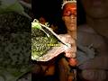 World’s Most Deadly Ant Ritual 🐜