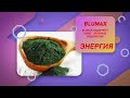 M international - BluMax (на русском)