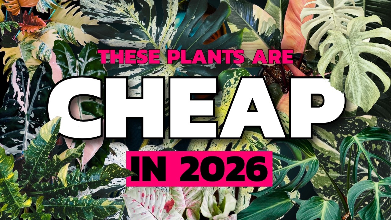 Редкая катастрофа на заводе еще не закончилась — они на очереди!