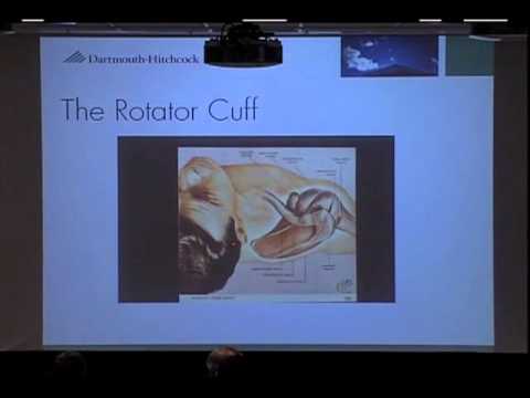 academic medical centers by state Anatomy & Mechanics of the Elbow and Shoulder