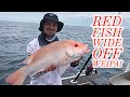 Episode 8 -  Red Fish Wide Off Weipa