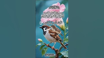 #القران #الكريم #افضل #تلاوة