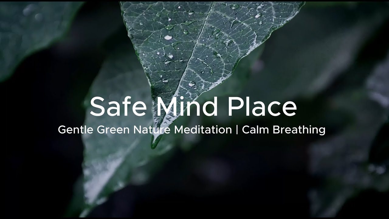 1.5 Hours Gentle Green Nature Meditation | Relaxation, Sleep