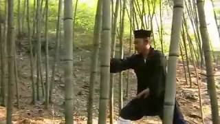 Wudang Kungfu - Iron Palm Training 武当功夫 : 掌法