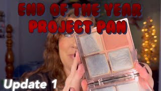 End of the Year Project Pan | UPDATE 1 ~ Pans + Empties