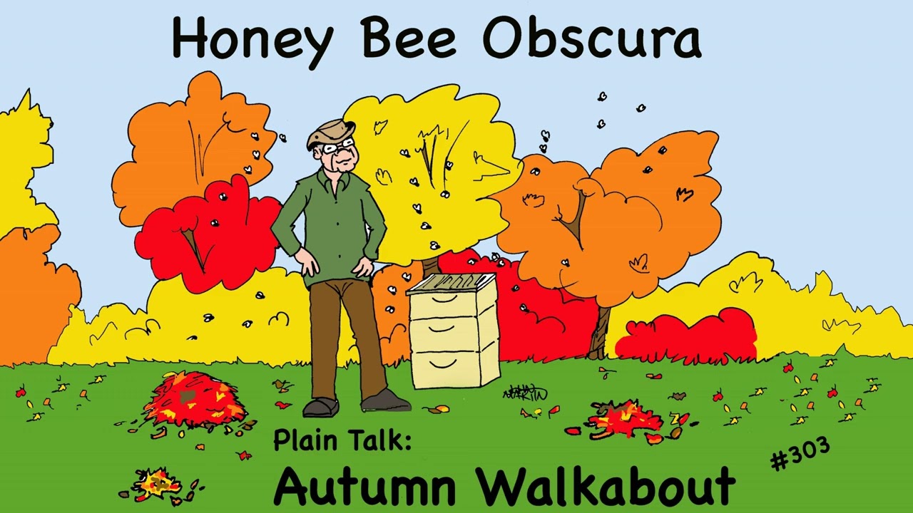 Plain Talk: Autumn Walkabout (303)