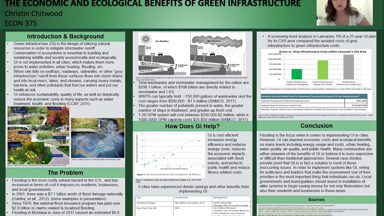 The Economic and Ecological Benefits of Green Infrastructure
