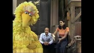 1172 Big Bird Loses A Contest