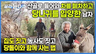 타던 차를 폐차시키고 당나귀를 입양했습니다🚙 산골로 들어가 직접 지은 집에서 당돌이와 사는 수상한 남자의 행복찾기🔎│ #골라듄다큐