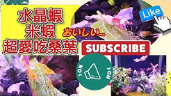 愛咪姐姐 Youtube 愛咪姐姐 Youtube