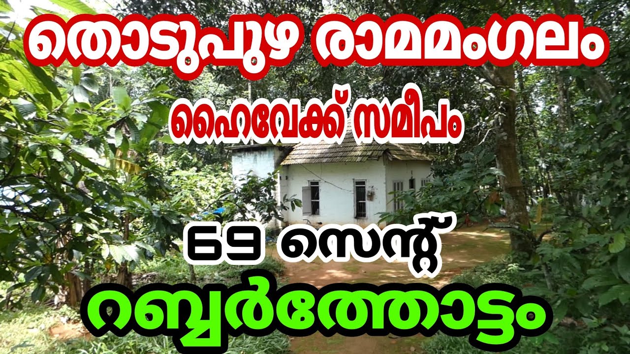 Idukki/Thodupuzha/Ramamangalam Highway/Land (Rubber)for sale YouTube