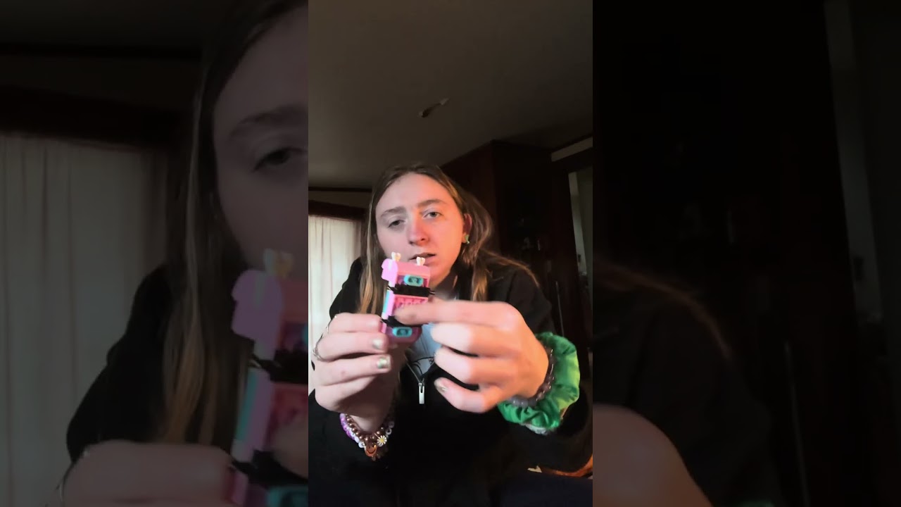 build Lego friend set 2 (part 2)