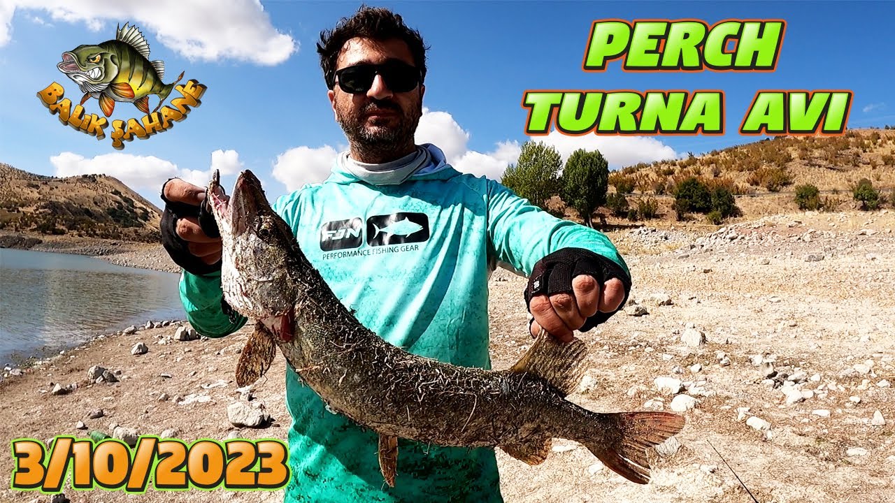 Meşhur Barajda Balıkları Bulduk.Kayhan Tarladan Turna Yakaladı.Perch ve Turna Balık Avı.