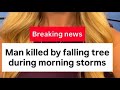 Man killed by falling tree in Des Moines during morning storms