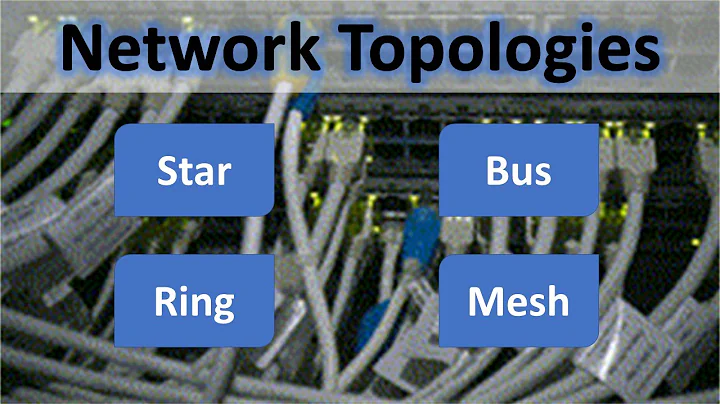 Network topologies - star, bus, ring and mesh!