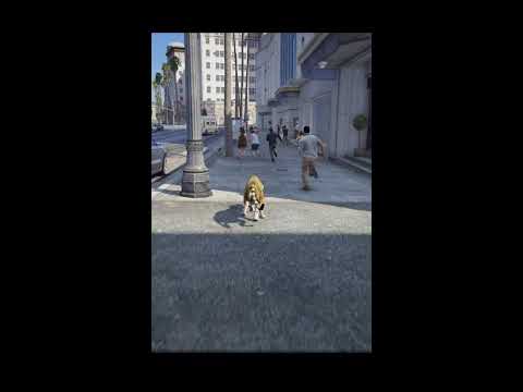 UV GTA King