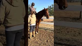 Nicole Dorenzo PATH CTRI application video