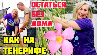 РУБИМ КУСТЫ И САЖАЕМ ЦВЕТЫ❤️ИСПЫТЫВАЕМ МАССАЖЁР ДЛЯ НОГ С ПОДОГРЕВОМ❤️ФЛОРИДА СЕГОДНЯ