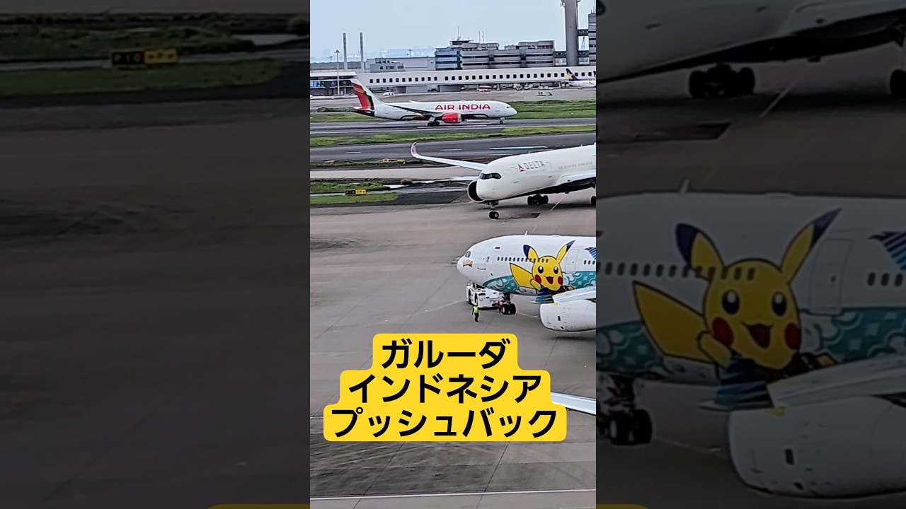 羽田空港】 プッシュバックされるガルーダ・インドネシアのA330-300