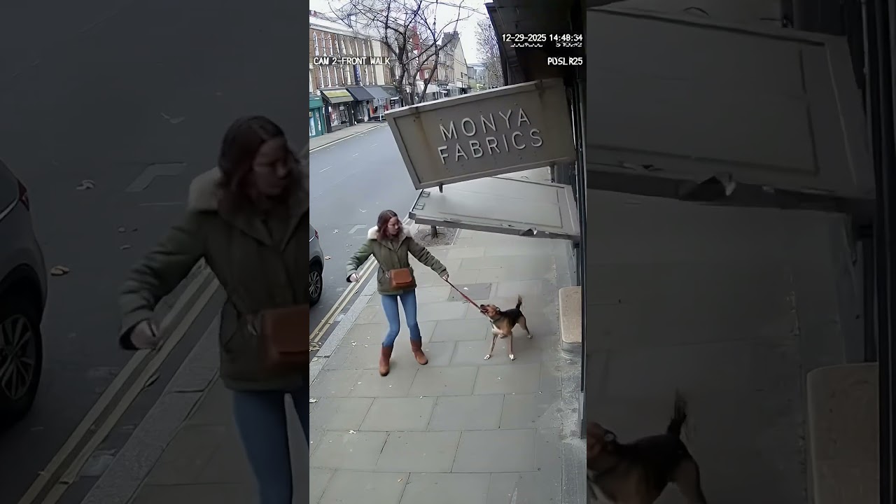 Good boy didn’t hesitate 🐶😳Pure instinct. Split-second save.Follow for dog heroes.