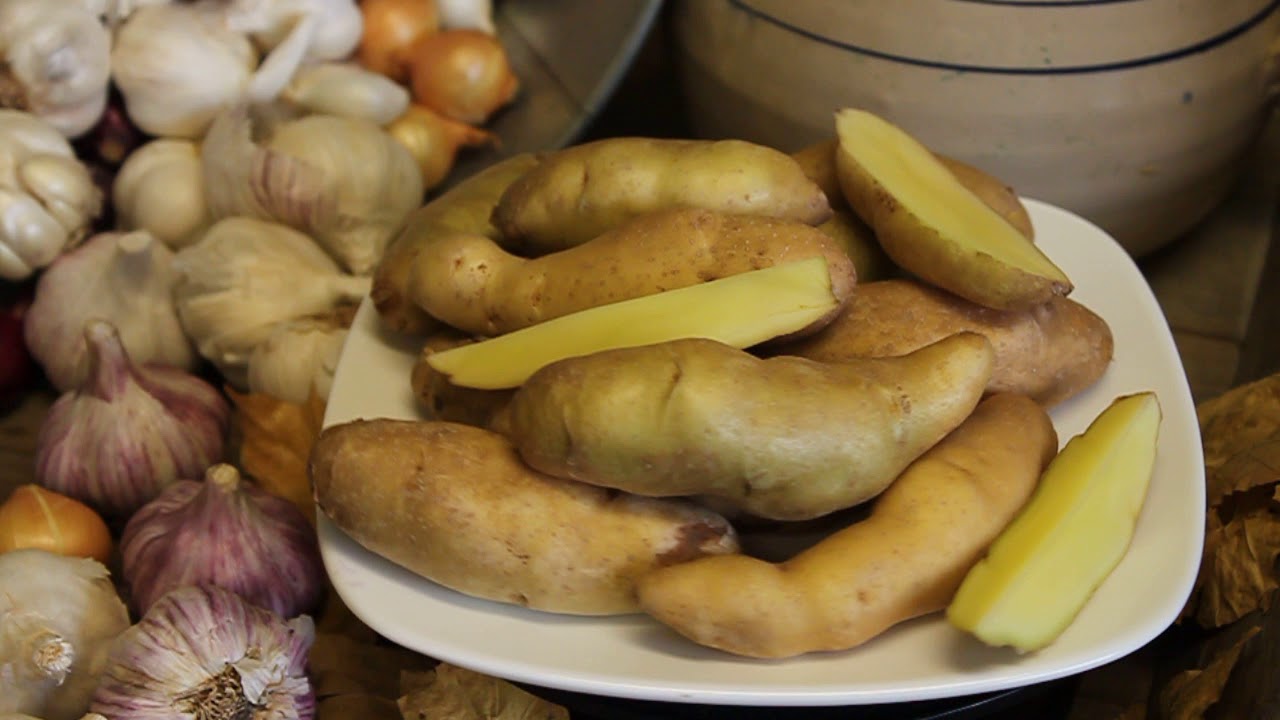 Russian Banana YouTube