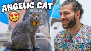 Bu Kedi̇ Tam Bi̇r Melek Hem Sevimli Hem De Çok Utangaç