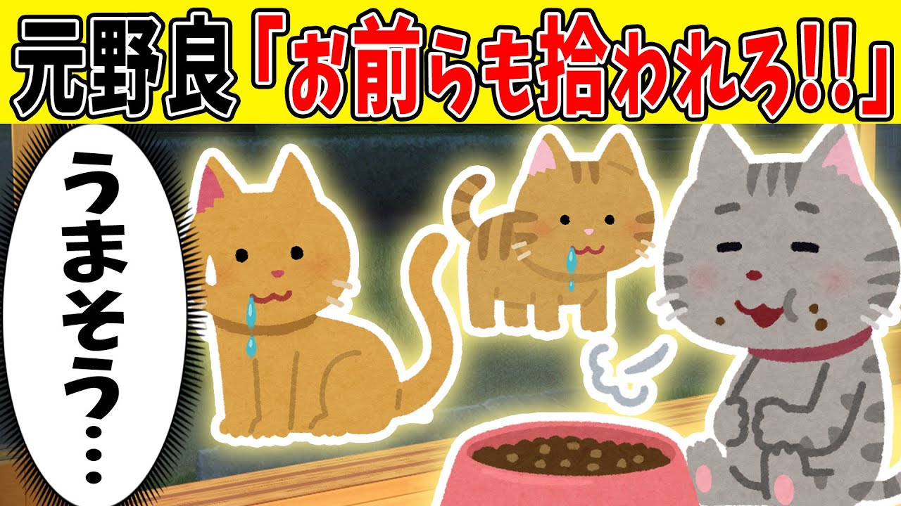 【ほのぼの】元野良猫さん、現役野良猫に拾われたことを自慢しまった結果【ゆっくり】