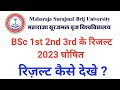 MSBU BSc 1st 2nd 3rd Year Result 2023 Declared । Brij University BSc Result 2023