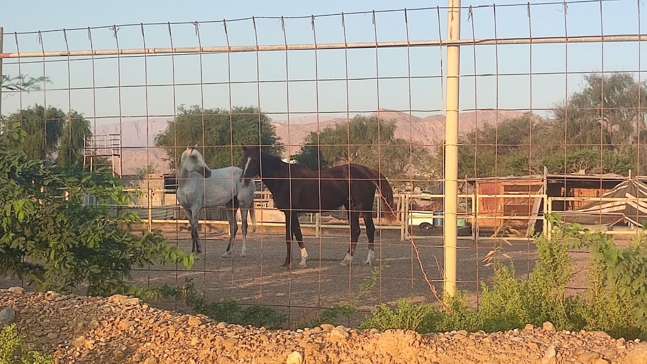 ओमान का village ।