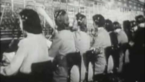 Monkey in a Dryer Custom T shirt Screen Printing commercial