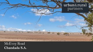 'Marlowes', 'Black Hill' & 'Kildaton Downs' , Chandada, Eyre Peninsula, South Australia