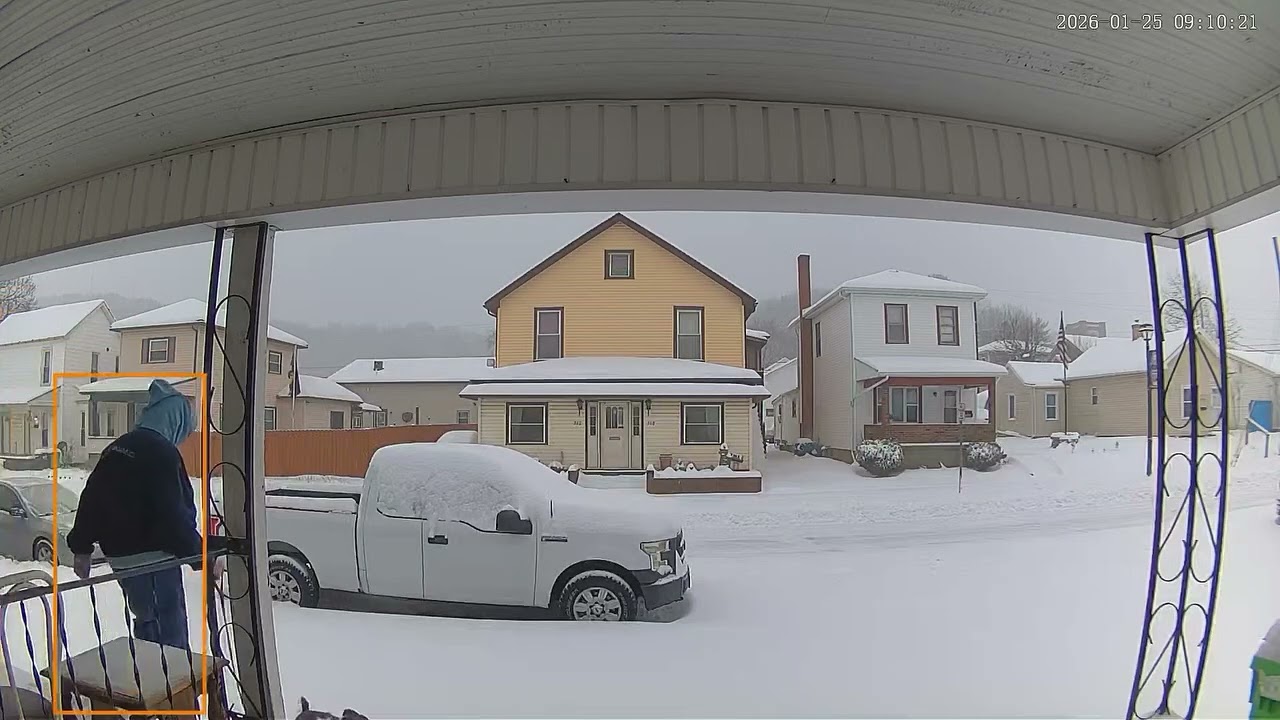 Bullshit Snow Jan 25th 2026