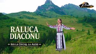 Up at Ciucaș, at Alexe's - Raluca Diaconu