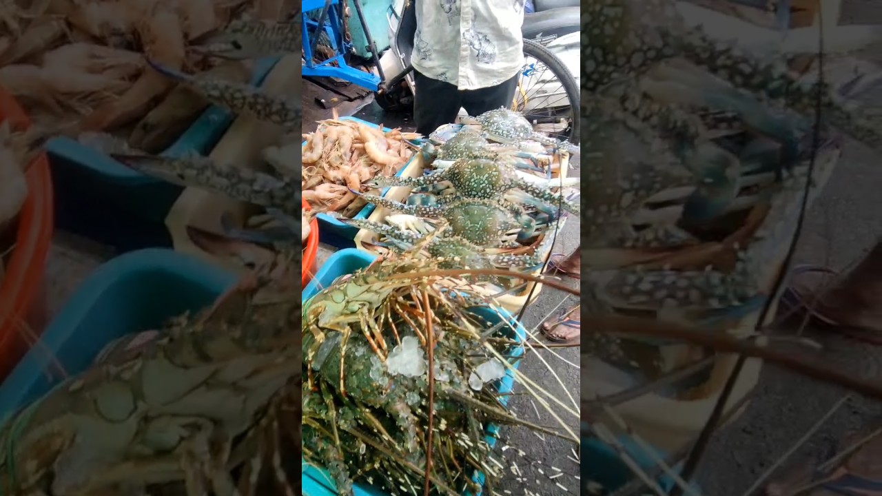 Vizag Fishing Harbour 