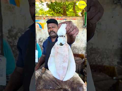 Kasimedu speed selvam squid cutting video #kasimeduselvam #shorts #bigfish #youtube