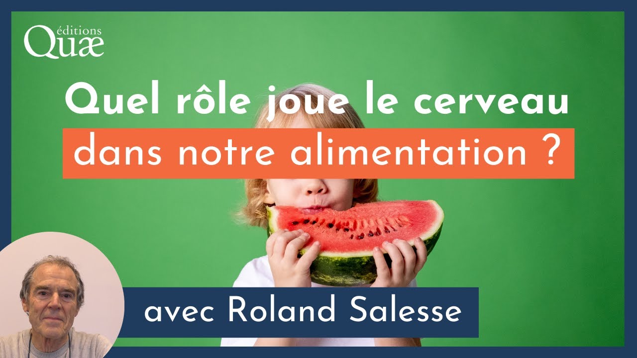 Quel rôle joue le cerveau dans notre alimentation ?
