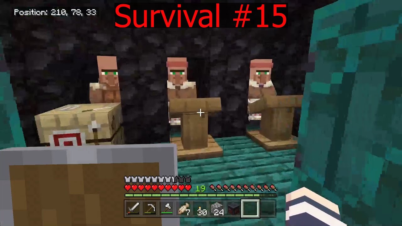 How To Get A Mending Villager
