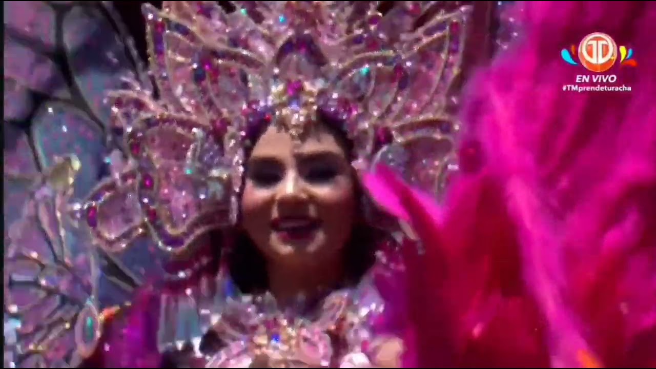 Domingo de culecos calle abajo de las tablas 2025