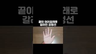 적응을 잘해 어디에가도 살아남을 수 있는 손금 #손금