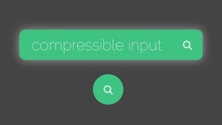 Famous Collapsible input effect using only HTML and CSS Wealth
