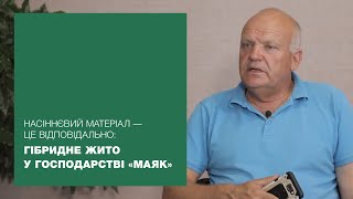 Насіннєвий матеріал – це відповідально: гібридне жито у господарстві «Маяк» | ЖВЛ #18