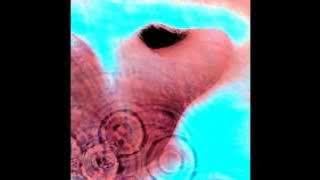 Pink Floyd - Echoes (Remastered)