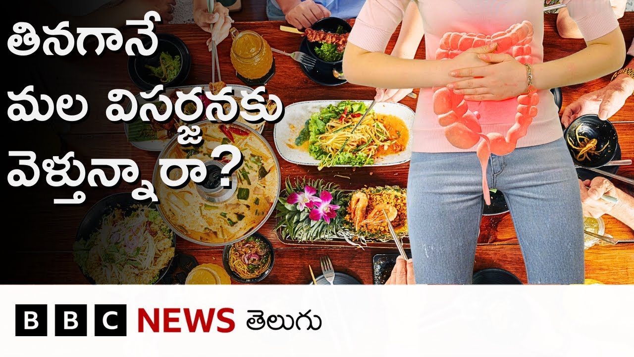 Gut Health: ఆహారం తినగానే కొందరికి మల విసర్జనకు వెళ్లాలి అనిపిస్తుందా? వైద్యులు ఏమంటున్నారో వినండి.