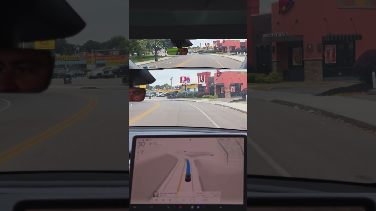 My Tesla Does 99% Of My DAILY Driving 🤯🤯🤯